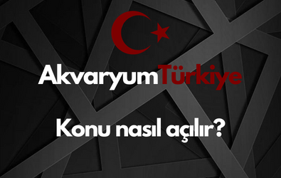 Konu Nasıl Açılır?