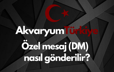 Özel Mesaj (Dm) Nasıl Gönderilir?