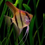 Utku BİÇER fotoğrafı